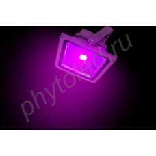 Прожектор фитосветодиодный для растений "Этамин" 30Вт