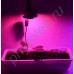 Полноспектровый 10Вт фитосветодиод на радиаторе LED grow light "Мерак"